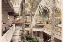 1980-05-04-Hawaii-Japan-stopover-enroute-to-Korea-11