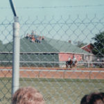1979-05-05 Kentucky Derby Infield